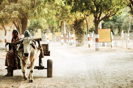 Beyond the Basics: Unlocking True Flavour with Your South Indian Dosa Batter Fermentation Technique